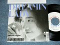 和田加奈子 KANAKO WADA - A) DREAMIN' LADY   B) Le Vent Doux 〜やさしい風〜  (Ex+++/MINT- BB for PROMO) / 1989 JAPAN ORIGINAL "WHITE LABEL PROMO / TEST PRESS???" Used 7"45 rpm Single