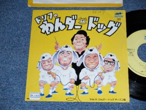画像1: ワンダードッグ /　ドリフターズ WONDER DOG / THE DRIFTERS - ドリフのわんだー・ドッグ WONDER DOG (Ex++/Ex+ STOFC, CLOUD) / 1982 JAPAN ORIGINAL "PROMO" Used 7" Single シングル