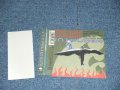 The SURF COASTERS サーフ・コースターズ (中シゲヲ  SHIGEO NAKA)  - INTRUDER (MINT-/MINT) /1995 JAPAN ORIGINAL Used Maxi-CD with OBI