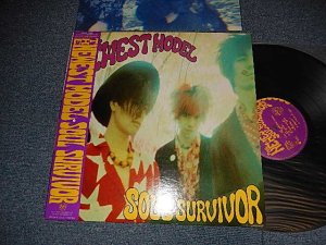 画像1: ニューエスト・モデル,NEWEST MODEL - SOUL SURVIVOR (Ex++/MINT-) / 1989 JAPAN ORIGINAL Used LP with OBI