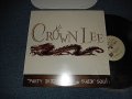 Crown Lee Featuring Sugar Soul - Party Groove (MINT/MINT-) / 1999 JAPAN ORIGINAL Used 12"