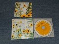 小谷美紗子 MISAKO ODANI - Misako ODANI  (PROMO ONLY) (Ex++/MINT)  / 1997 JAPAN ORIGINAL "紙ジャケット仕様 / Mini-LP Paper Sleeve" "PROMO ONLY" Used  CD 