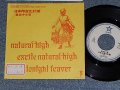 筋肉少女隊 KINNIKU SYOJOTAI - 日本印度化計画 (Ex+/MINT- STOFC) / 1989 JAPAN ORIGINAL "Promo Only" Used 7" Single