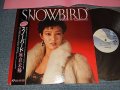 麻倉未稀 MIKI ASAKURA  - SNOWBIRD スノーバード (MINT/MINT) / 1982 JAPAN ORIGINAL Used LP with OBI
