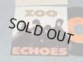 ECHOES  エコーズ - A) ZOO  B) SURPRISE (Ex++/MINT SWOFC) /1989JAPAN ORIGINAL "PROMO ONLY" Used 7" シングル Single 