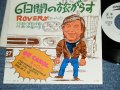 ローバーズ ROVERS - A) ６日間の旅がらす MUIKAKAN NO TABIGARASU : B) オー・キャロル OH CAROL / Mid 1970's JAPAN ORIGINAL White Label Promo Used  7"Single