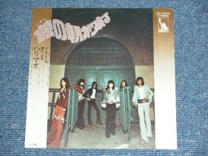 画像1: ハリマオ　HARIMAO - 棘の朝が来る　 IBARA NO ASA GA KURU /　Ｂ1973 JAPAN ORIGINAL 7" SINGLE  