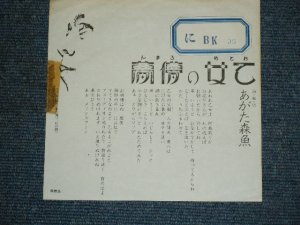 画像1: あがた森魚　MORIO AGATA -乙女の儚夢 OTOME NO ROMAN ( VG+++/Ex++） / 1970's JAPAN ORIGINALPromo Only 7" シングル