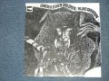 ブルース・クリエーション BLUES CREATION - 悪魔と１１人の子供達  DEMON & ELEVEN CHILDREN / Late  1990's EUROPE Reissue Brand New  LP LIMITED Press 