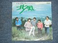 荻野達也とバニーズ　OGINO TATSUYA & BUNNIES - 北風　NORTH WIND / 1971 JAPAN ORIGINAL White Label Promo 7" シングル