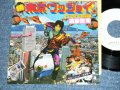 遠藤賢司  KENJI ENDO - 続　東京ワッショイ ZOKU TOKYO WASSYOI　( MINT-/MINT- ) / 1979 JAPAN ORIGINAL White Label PROMO Used 7" Single 