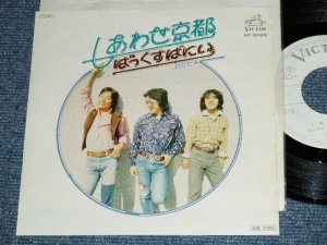 画像1: ばっくすばにい　BUCKSBUNNY - しあわせ京都　 SHIAWASE KYOTO / 1977 JAPAN ORIGINAL White Label PROMO Used 7" Single 