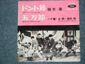画像1: 植木　等　クレイジー・キャッツ　HITOSHI UEKI  & CRAZY CATS - ドント節　/ 1960's  JAPAN ORIGINAL RED WAX VINYL 7"Single 