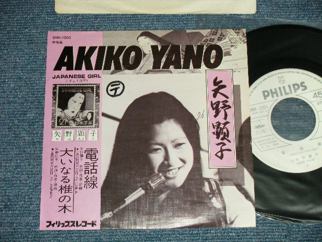 矢野顕子　AKIKO YANO - 電話線：大いなる椎の木( Ex++/Ex+++SWOFC,)  / 1976 JAPAN ORIGINAL 