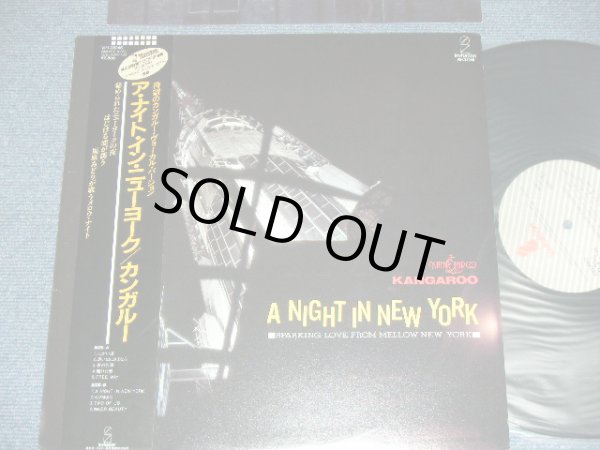 画像1: カンガルー KANGAROO - A NIGHT IN NEW YORK  / 1986 JAPAN ORIGINAL Used LP With OBI 