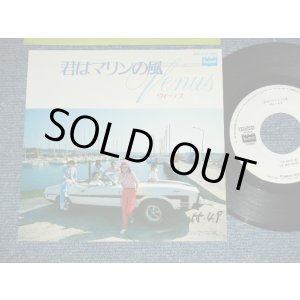 画像: VENUS ヴィーナス　-  君はマリンの風 KIMI WA MARINE NO KAZE  / 1980 JAPAN ORIGINAL White Label PROMO Used  7"Single