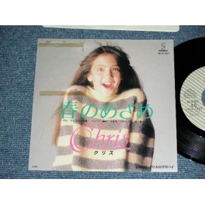 画像: クリス CHRIS -春のめざめ (柴山俊之、PANTA, KURO,西岡恭蔵) / 1984 JAPAN ORIGINAL PROMO Used  7"45 Single  