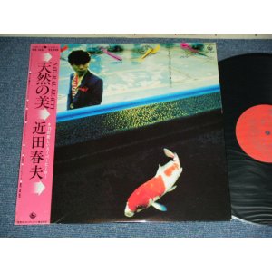 画像: 近田春夫 HARUO CHIKADA  - 天然の美 NATURAL BEAUTY ( Ex++/MINT- )  / 1979 JAPAN ORIGINAL Used LP With OBI 