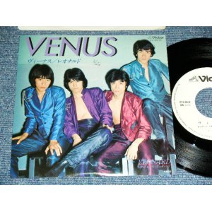 画像: レオナルド LEONARD -  ヴィーナスVENUS (橋本淳＋加瀬邦彦) / 1979 JAPAN ORIGINAL White Label PROMO  Used 7" Single 