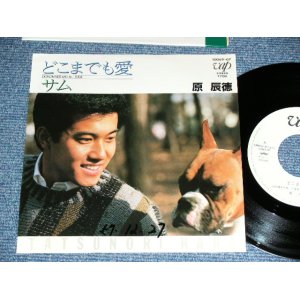 画像: 原辰徳 TATSUNORI HARA -  どこまでも愛 / 1982 JAPAN ORIGINAL White Label PROMO  Used 7" Single 