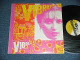 画像: 近田春夫 & VIBRA-TONES  HARUO CHIKADA & VIBRA-TONES - 　バイブラ・ロック VIBRA ROCK (Ex/Ex++ Looks:Ex,Ex+ Looks:Ex- ) / 1982 JAPAN ORIGINAL 'PROMO'  Used 12" inch EP 