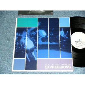 画像: EXPRESSION - ALL LIVING THINGS ( Ex+++/MINT-) / 1998 JAPAN ORIGINAL Used 12" 