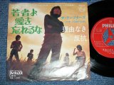 画像: テンプターズ The TEMPTERS - 若者よ愛を忘れるな/ 1969? JAPAN ORIGINAL "RED Label PROMO" Used 7" シングル