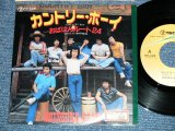 画像: SHINSUKE-BAND 紳助バンド　島田紳助 - カントリー・ボーイ( Ex+/Ex+)   / 1980 JAPAN ORIGINAL "PROMO" Used  7" Single 