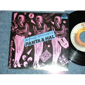 画像: パンタ＆ハル PANTA & HARL ( 頭脳警察　ZUNO KEISATSU) - ルイーズ(MINT-/MINT-) / 1980 JAPAN ORIGINAL  Used 7" Single 