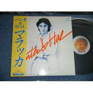 画像: パンタ＆ハル PANTA & HARL ( 頭脳警察　ZUNO KEISATSU) - マラッカ (MINT-/MINT-) / 1979 JAPAN ORIGINAL  Used LP with OBI