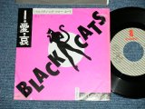 画像: ブラック・キャッツ　BLACK CATS - I・愛・哀  ( Ex/Ex++ Looks:Ex+ WOFC) / 1982 JAPAN ORIGINAL "Promo" Used 7" Single 