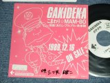 画像: アニメ ANIME GAKIDEKA 三ツ矢雄二 YUJI MITSUYA - こまわりMAM-BO (Ex++/MINT: WOFC,STOFC )  / 1989 JAPAN ORIGINAL "PROMO ONLY"  Used 7" Single シングル