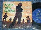 画像: テンプターズ The TEMPTERS - 若者よ愛を忘れるな(Ex++/MINT-)/ 1969? JAPAN ORIGINAL  Used 7" シングル