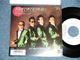 画像: キング・トーンズ　キングトーンズ　 THE KING TONES THE KINGTONES  - 今夜まで待てそうもないKONYAMADE MATESOOMO NAI (Ex+++/MINT : WOFC) / 1987 JAPAN ORIGINAL "WHITE LABEL PROMO" Used 7" Single 