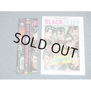 画像: ブラック・キャッツBLACK CATS - '83 COMEBACK SPECIAL with POSTER  (MINT/MINT) / 2005 JAPAN ORIGINAL Used  DVD with OBI オビ付 