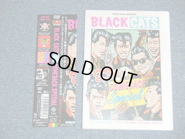 画像1: ブラック・キャッツBLACK CATS - '83 COMEBACK SPECIAL with POSTER  (MINT/MINT) / 2005 JAPAN ORIGINAL Used  DVD with OBI オビ付 