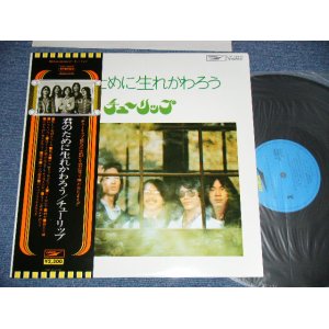 画像: チューリップ TULIP - 君のために生まれかわろう (MINT-/MINT)  / 1970's JAPAN REISSUE  used LP With  OBI