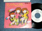画像: 全キャン連スーパー・スペシャル・バンド ZEN CAN-REN SUPER SPECIAL BAND -  - ３つのキャンディー MITTSU NO CANDY  ( Ex++/MINT-)  / 1978 JAPAN ORIGINAL "WHITE LABEL PROMO"  Used 7"45 Single 