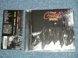 画像: HARUYUKI "PITP" MIZUGUCHI 水口 晴幸 (クールス　COOLS) -  STAY COOL - Final Edition ( MINT/MINT) / 2006 JAPAN ORIGINAL Used CD with OBI