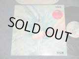 画像: YMO  YELLOW MAGIC ORCHESTRA -  BGM ( MINT-/MINT) / 1981 US AMERICA ORIGINAL "PROMO"  Used  LP  