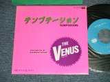 画像: VENUS ヴィーナス　- テンプテーション：キサス DE キサス (MINT-//MINT )  / 1982 JAPAN ORIGINAL Used  7"SingleMINT/MINT