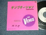 画像: VENUS ヴィーナス　- テンプテーション：キサス DE キサス (MEx++//MINT  WOFC)  / 1982 JAPAN ORIGINAL "WHITE LABEL PROMO" Used  7"SingleMINT/MINT