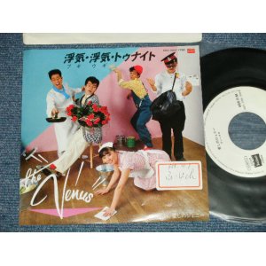 画像: VENUS ヴィーナス　- 浮気・浮気（ブギウギ）トゥナイト：愛しのジェニー (Ex++/MINT- STOFC)  / 1983 JAPAN ORIGINAL "WHITE LABEL PROMO" Used  7"Single