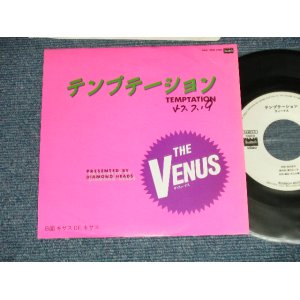 画像: VENUS ヴィーナス　- テンプテーション：キサス DE キサス (MEx++//MINT-  WOFC)  / 1982 JAPAN ORIGINAL "WHITE LABEL PROMO" Used  7"SingleMINT/MINT