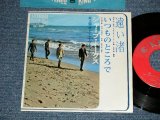 画像: シャープ・ホークス　THE SHARP HAWKS  - 遠い渚　：いつものところで (Ex/Ex++) / 1966 Japan Original  Used 7" シングル