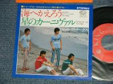画像: シャープ・ホークス　THE SHARP HAWKS  - 海へ帰ろう　：星のカーニヴァル (MINT-/MINT) /  JAPAN REISSUE Used 7" シングル