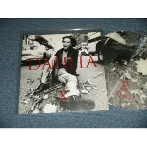 画像: X JAPAN エックス・ジャパン - DAHLIA (MINT/MINT)  / 1996 JAPAN ORIGINAL "PICTURE DISC"  LP