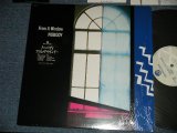 画像: NOBODY ノーバディ - FROM A WINDOW  ( MINT-/MINT-)    / 1985 JAPAN ORIGINAL  Used  LP with Seal OBI 