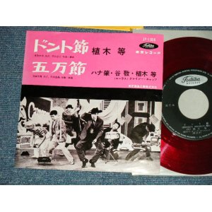 画像: 植木　等 ・谷啓・ハナ肇 HITOSHI UEKI / KEI TANI / HAJIME HANA  - ドント節：五万節 (MINT-/MINT) / 1960's  JAPAN ORIGINAL "RED WAX Vinyl"  Used 7"Single 