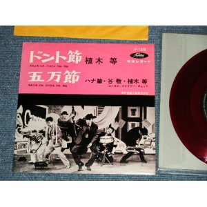 画像: 植木　等 ・谷啓・ハナ肇 HITOSHI UEKI / KEI TANI / HAJIME HANA  - ドント節：五万節 (Ex+++/MINT-) / 1960's  JAPAN ORIGINAL "RED WAX Vinyl"  Used 7"Single 